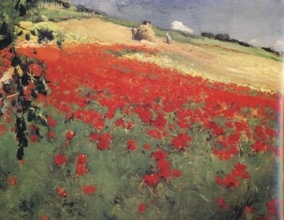 William blair bruce Landscape with Poppies (nn02) oil painting image